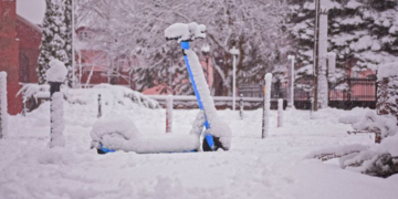 BLDC motor applications include popular consumer products like electric scooters